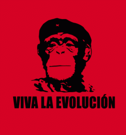 Viva La Evolucion