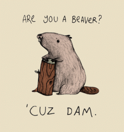 Dam