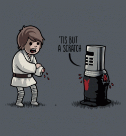 ‘Tis But A Scratch